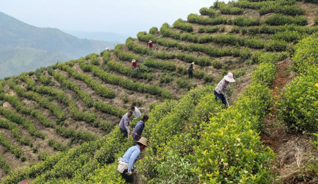富硒大米认证标准(富硒大米认证标识)-硒宝网