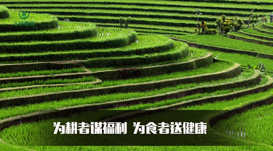 富硒大米认证标准(富硒大米认证标识)-硒宝网