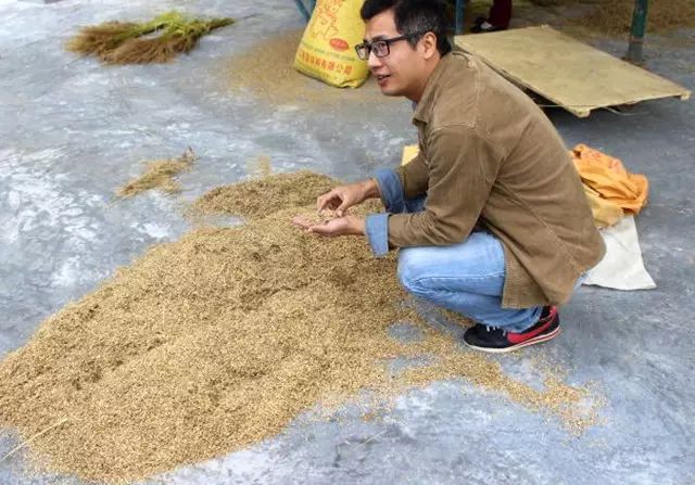 富硒大米相关资料