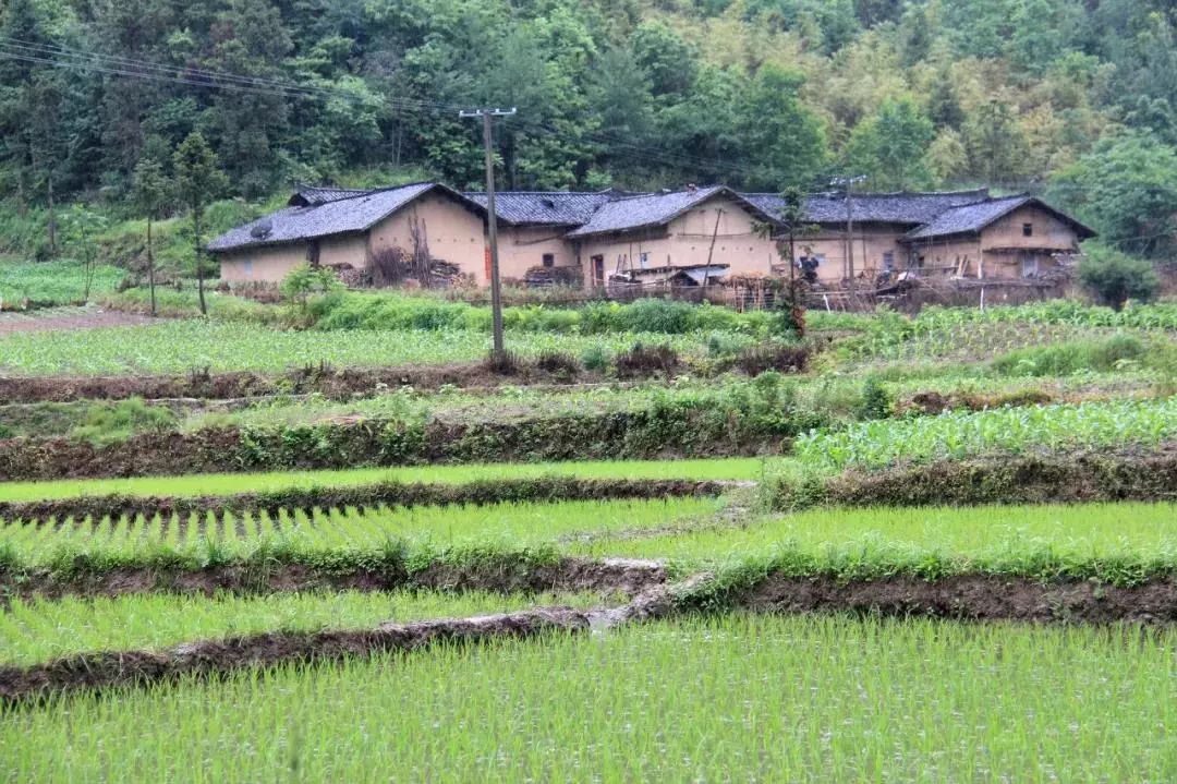 辽宁柳河富硒大米