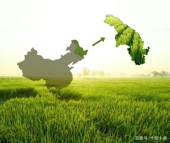 富硒大米东北基地