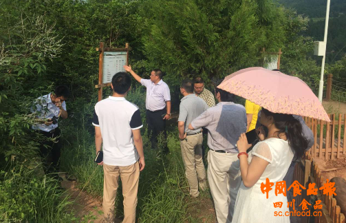 巴山富硒大米产量(最好的富硒大米多少钱一斤)-硒宝网