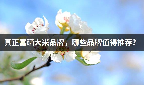 真正富硒大米品牌，哪些品牌值得推荐？-1