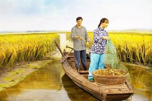 富硒大米公共品牌