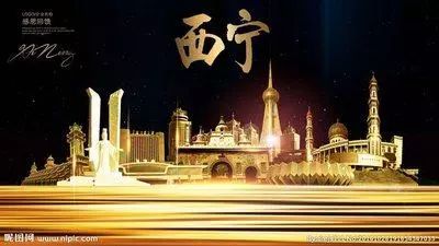 宜春富硒大米啤酒