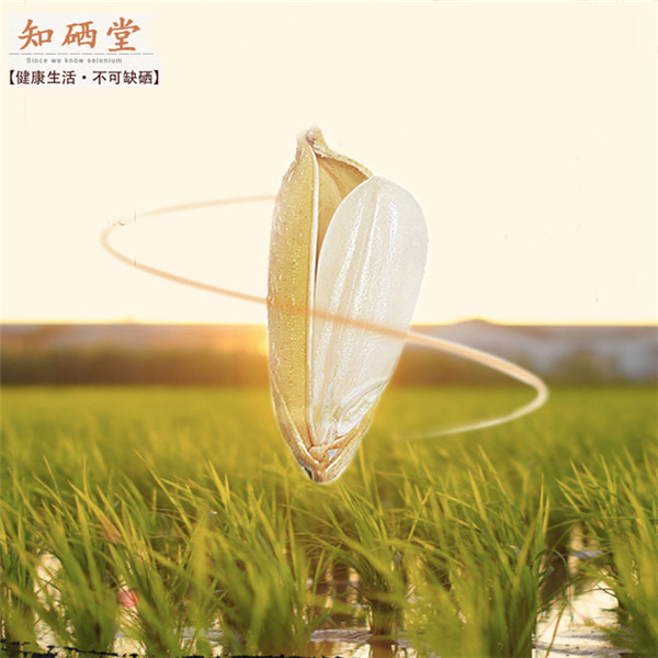 富硒大米江苏如皋