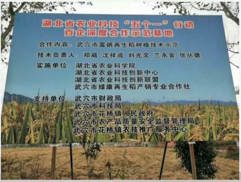 湖北富硒有机大米