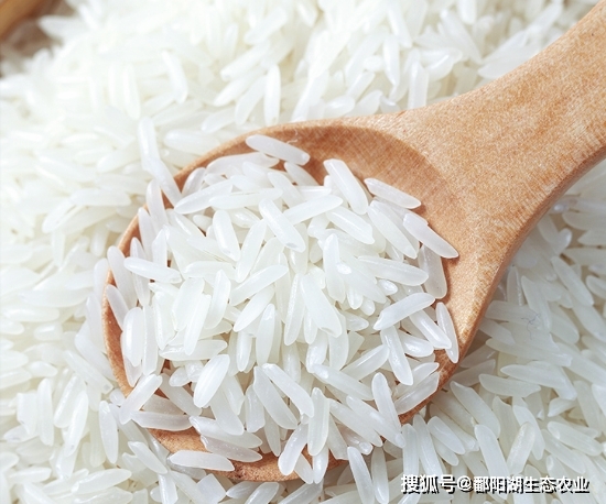 江西富硒大米直播
