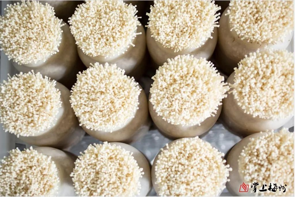 品质上乘富硒大米