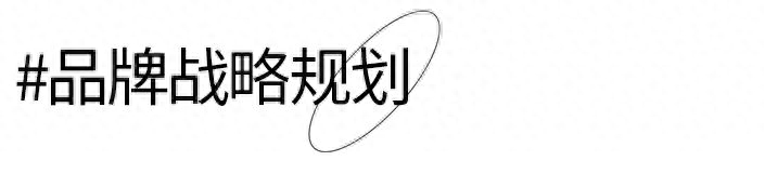 富硒大米竞品分析