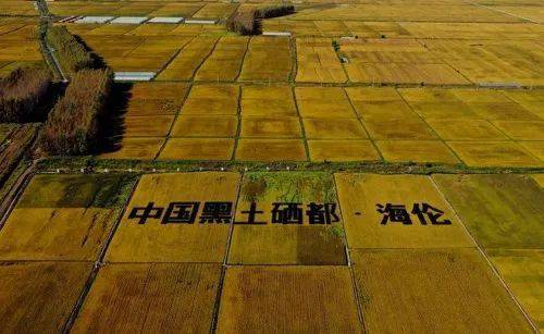 五常大米富硒大米