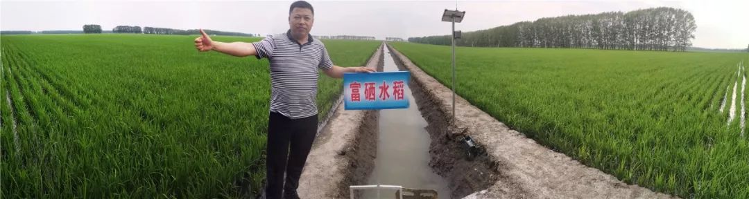 富硒大米奖励制度