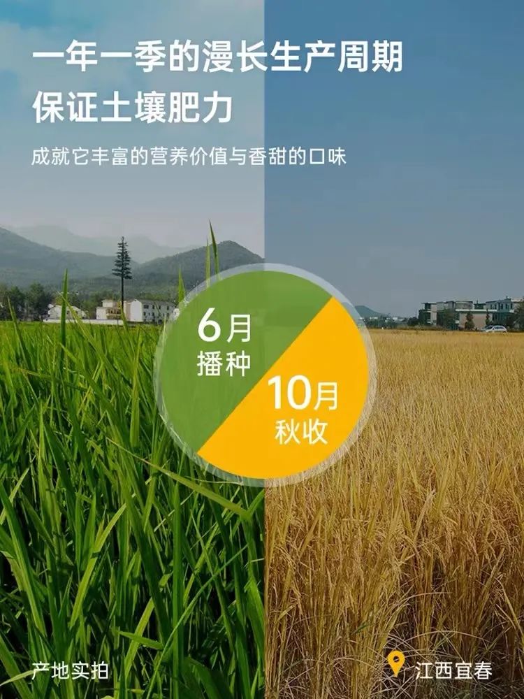 人吃富硒大米好吗