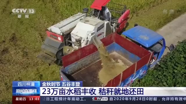 于都富硒大米价格
