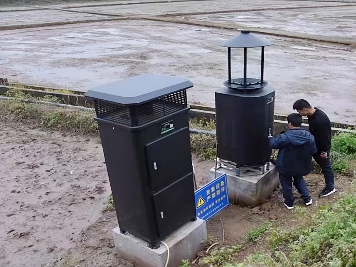 富硒大米会长胖吗(大米长胖)-硒宝网