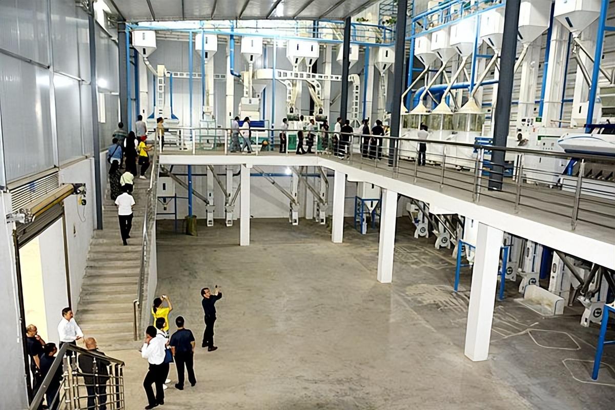 富硒大米会长胖吗(大米长胖)-硒宝网