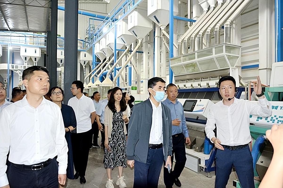 富硒大米会长胖吗(大米长胖)-硒宝网