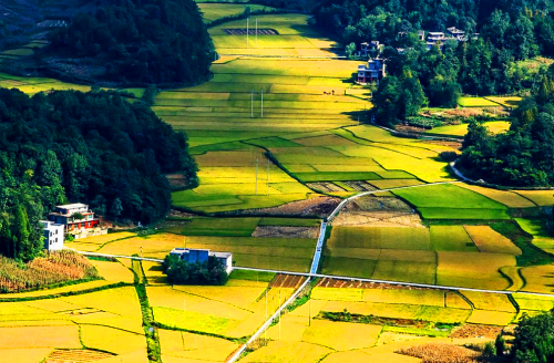 湖南通道富硒大米