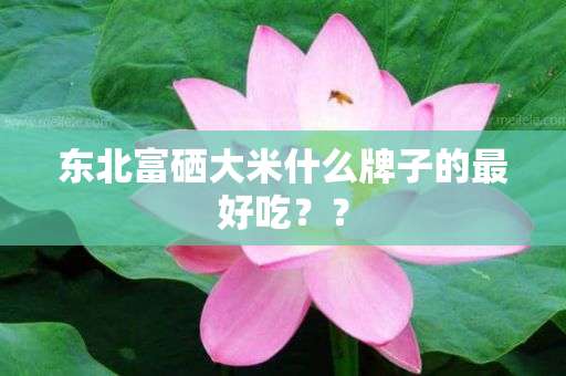 东北富硒大米什么牌子的最好吃？？