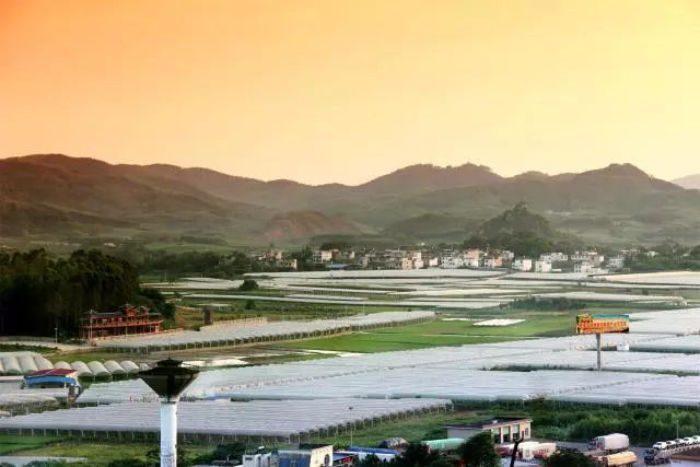 柳州富硒大米厂家(广西富硒米产地)-硒宝网