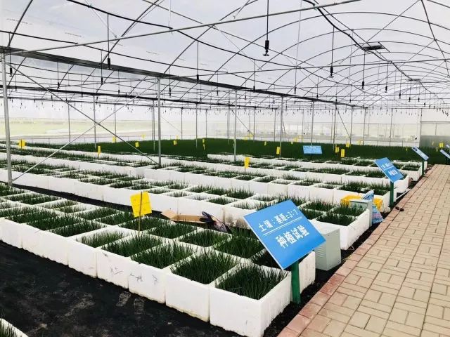 柳州富硒大米厂家(广西富硒米产地)-硒宝网