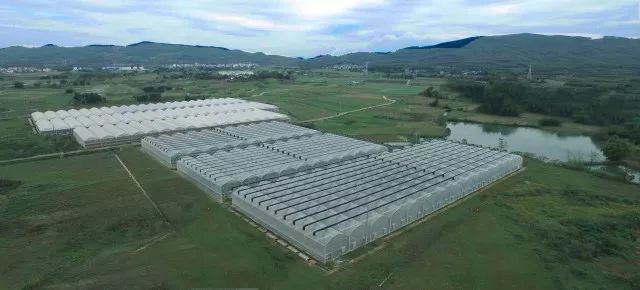 柳州富硒大米厂家(广西富硒米产地)-硒宝网