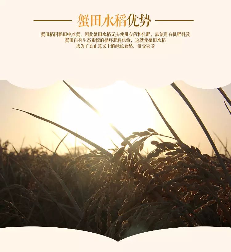 盘锦蟹田富硒大米