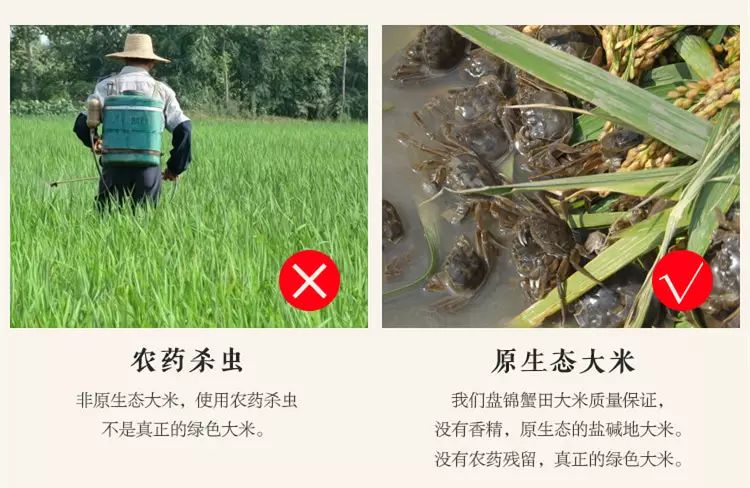 盘锦蟹田富硒大米
