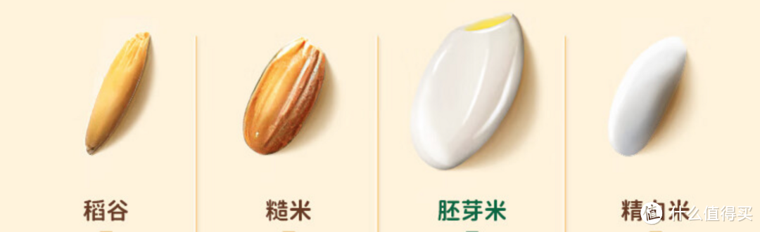 什么叫富硒大米啊(富硒大米的由来)-硒宝网