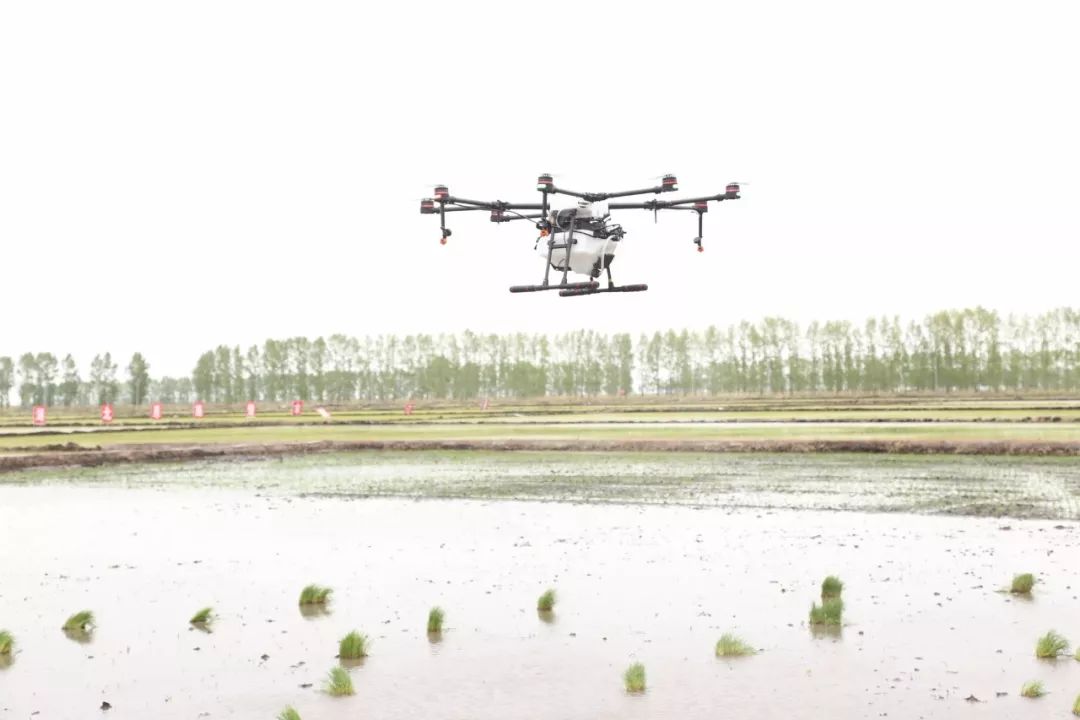 富硒大米合作协议(富硒大米传销)-硒宝网