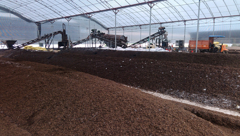 富硒有机大米价值(大米富硒标准)-硒宝网