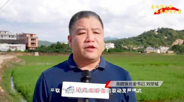 大埔西河富硒大米