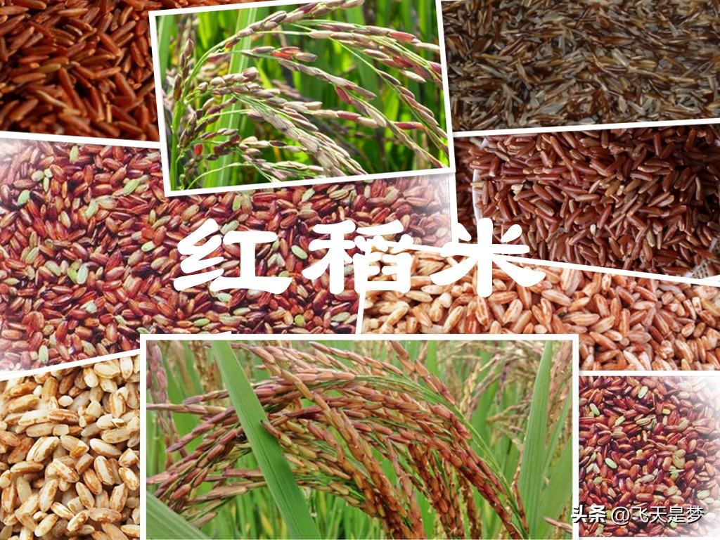富硒大米有假的吗