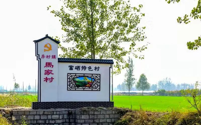 铜山富硒大米价格