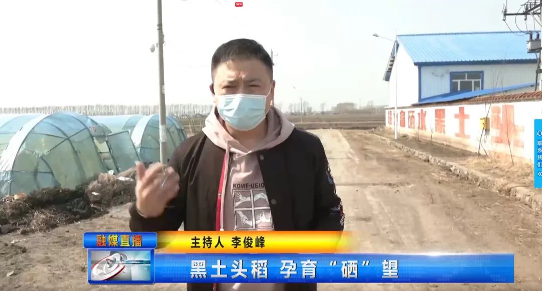 富硒大米哪家有名