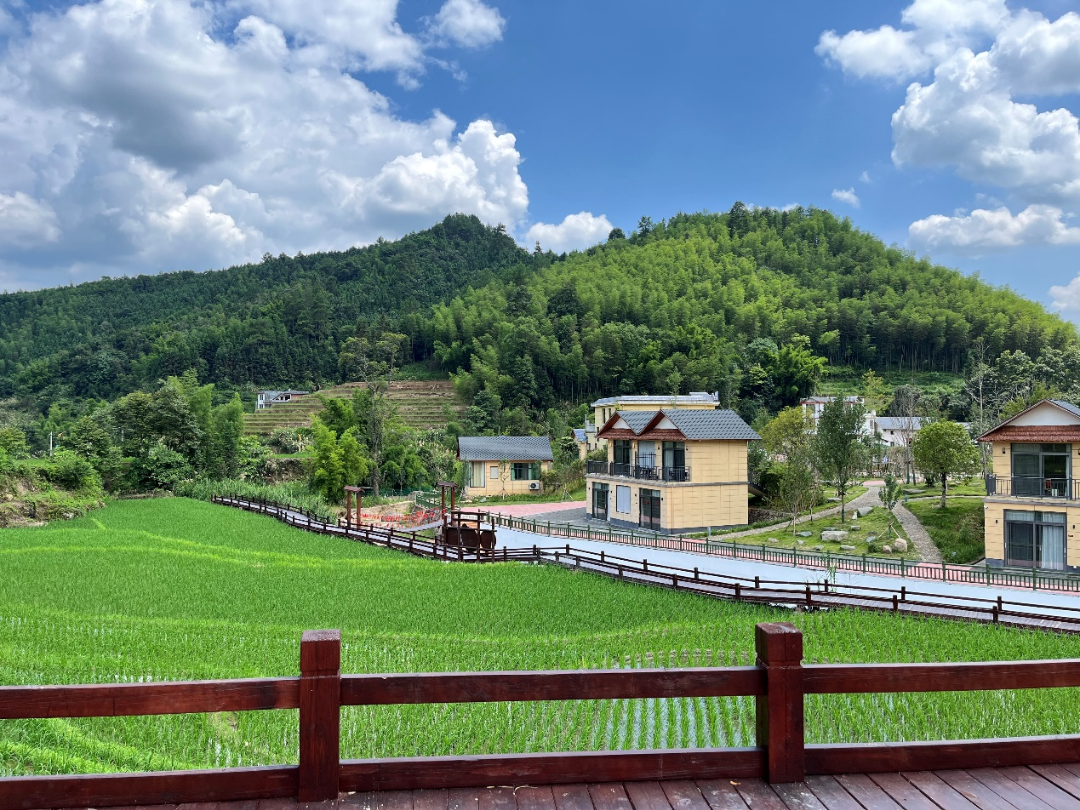 上堡梯田富硒大米