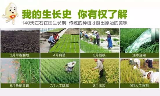 五常大米富硒香米