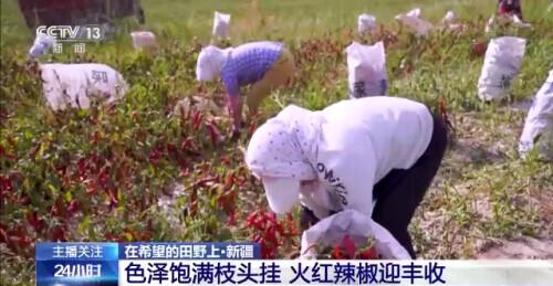 安远县富硒大米厂