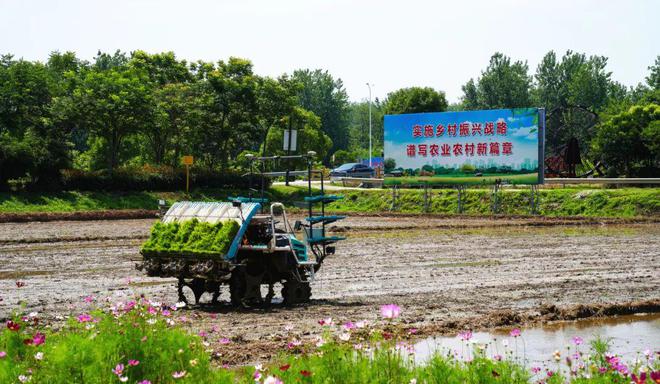 味稻东林富硒大米(稻老大富硒大米)-硒宝网