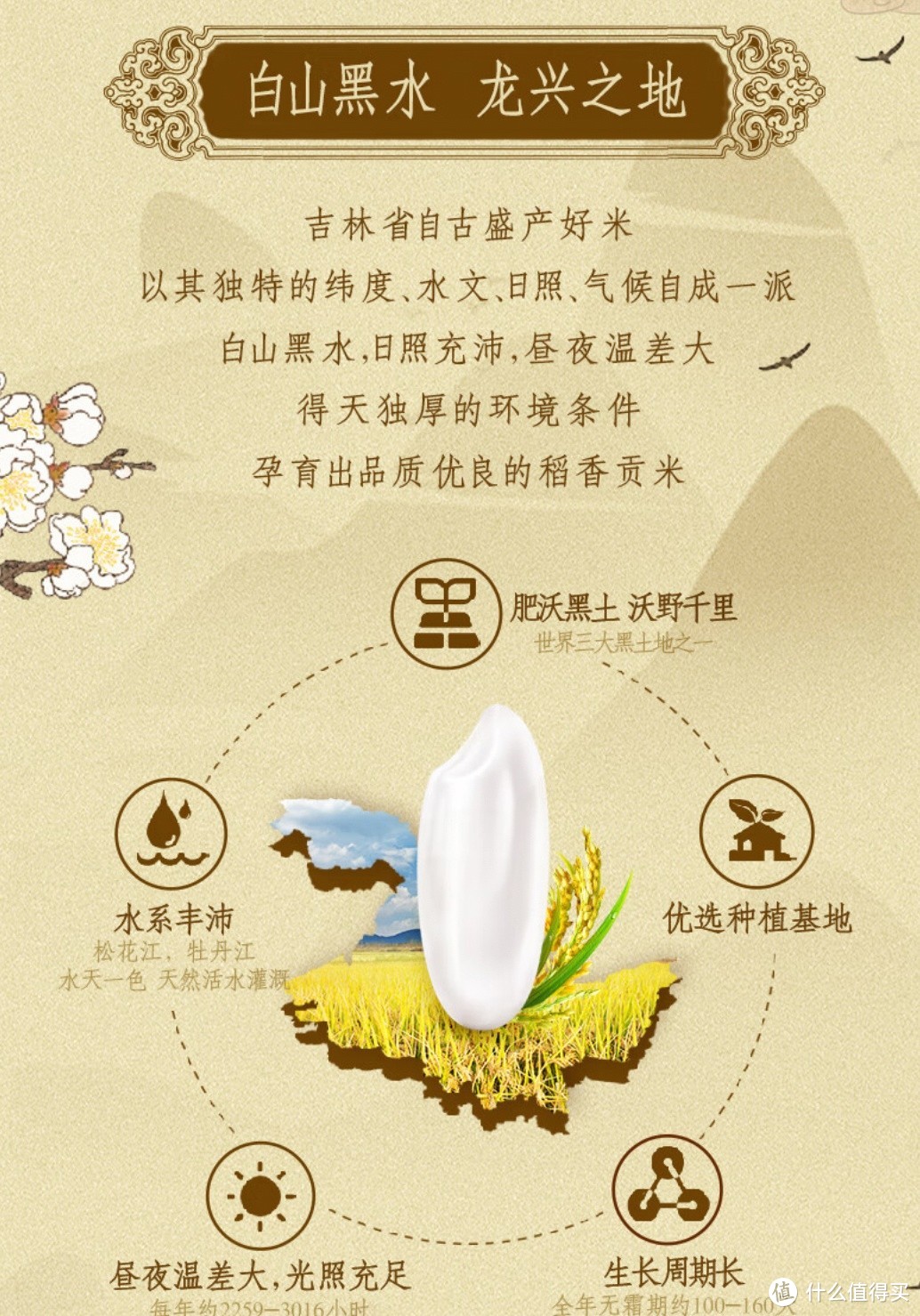 双十一的爆款大米，乳玉皇妃，你买了吗
