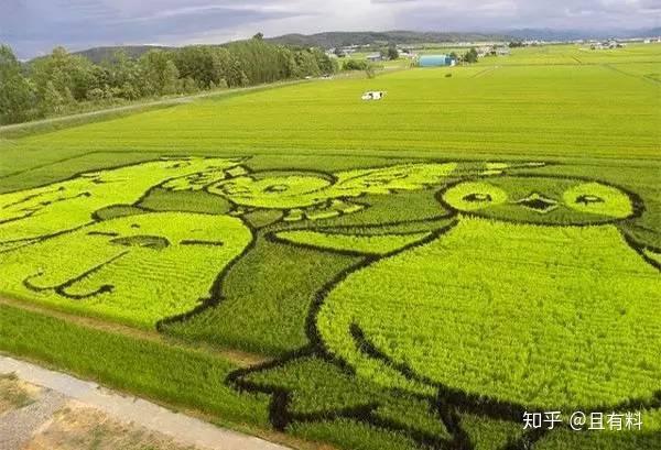 一生有李富硒大米