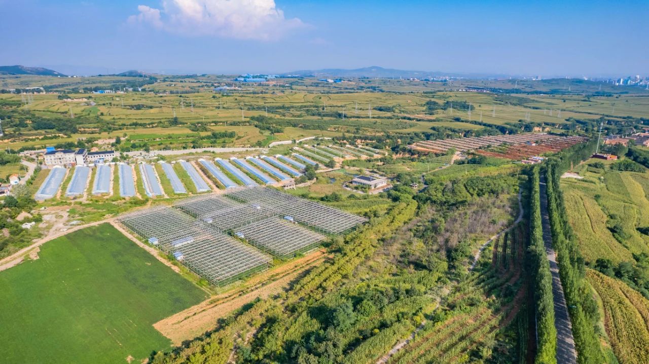 菏泽富硒地瓜粉丝