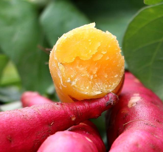 板栗薯、蜜薯、紫薯...你吃过几种？你最喜欢哪一种？