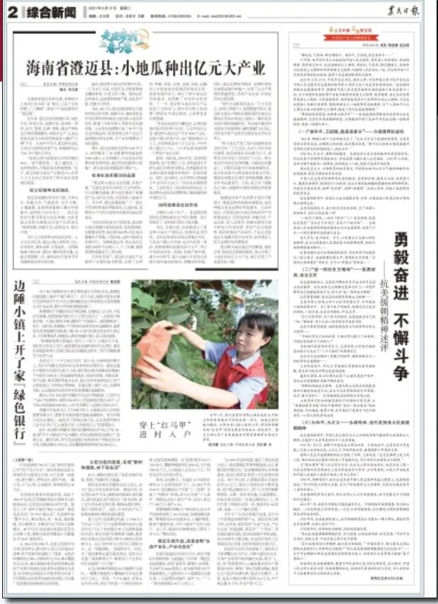 海南富硒地瓜亩产