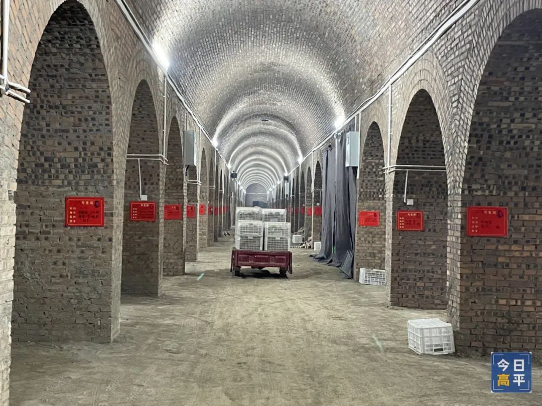 怎样挑选富硒地瓜