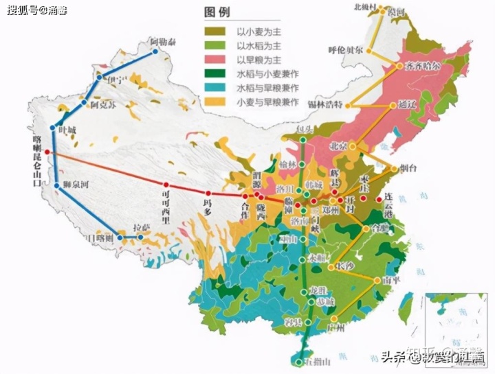 北方种植富硒地瓜