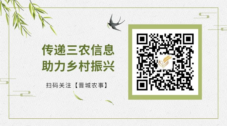 富硒地瓜种植历史