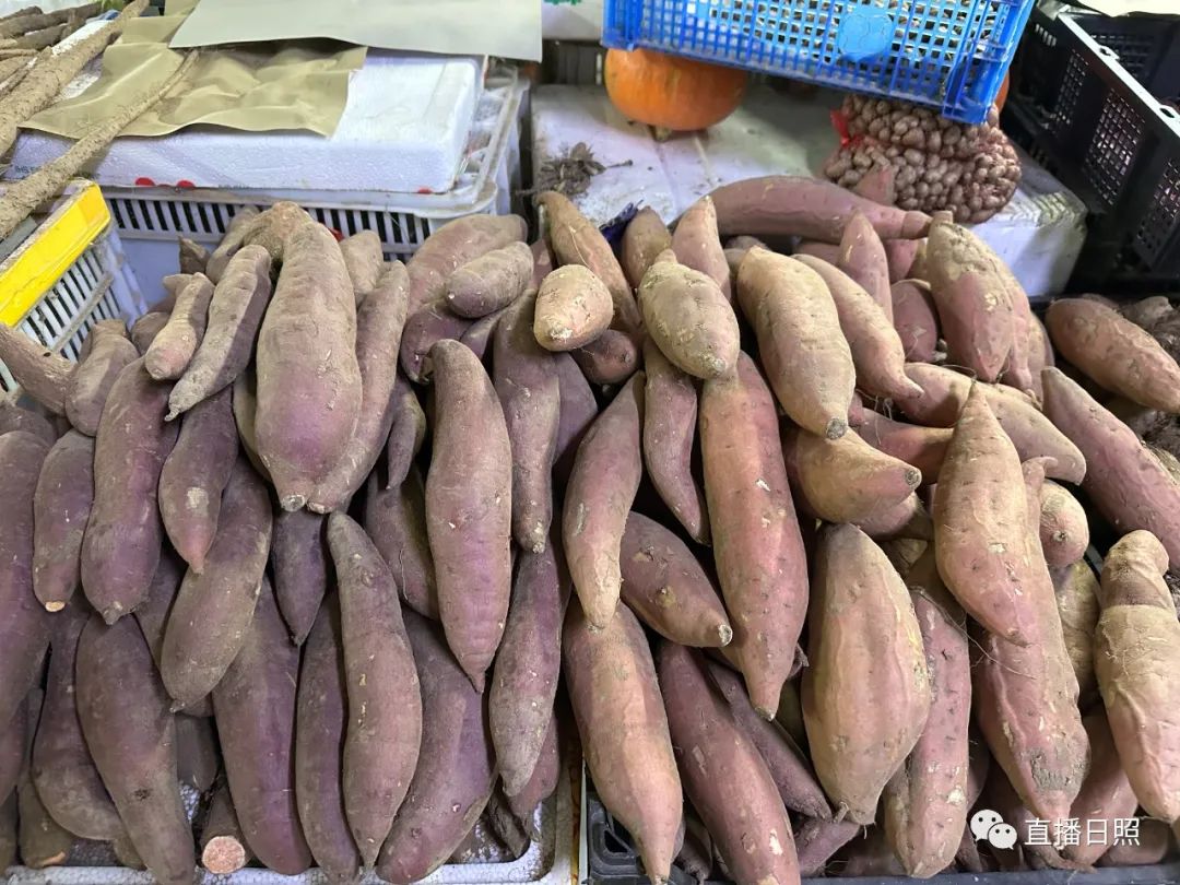 莒县富硒地瓜地址