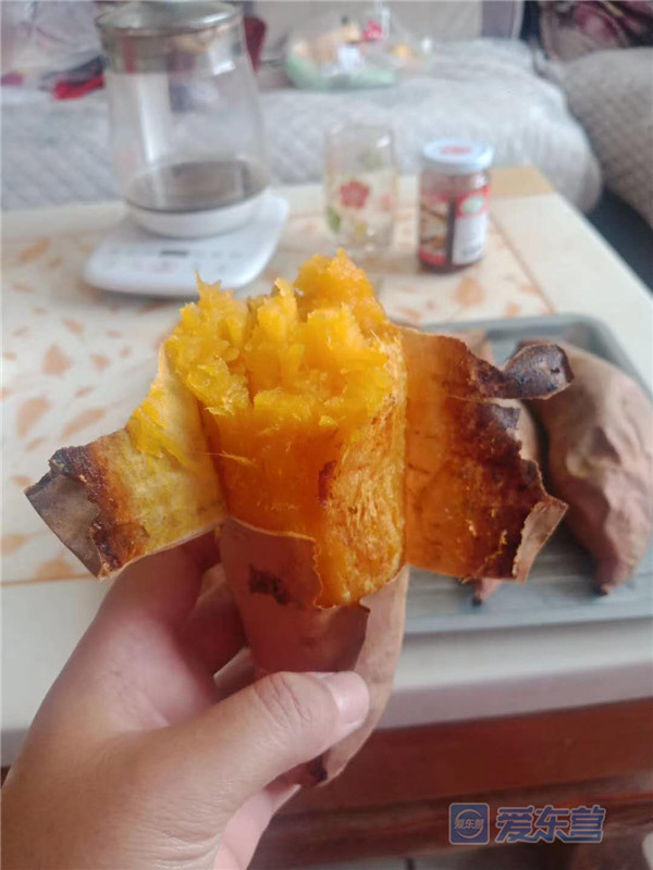 富硒地瓜怎样栽培