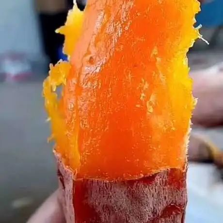 富硒地瓜怎样栽培